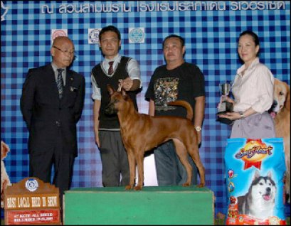 TH.CH.TAWAN NAMFAH RED SWAN