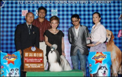 TH.CH.HEARTY'S HIPPY HIPPY SHAKE