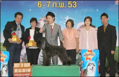 AM.CH.HOTSPICE'SCHECK IT OUT