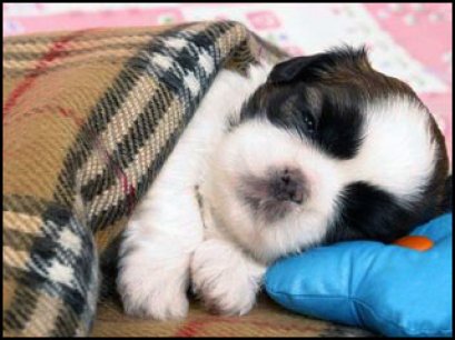 โรคภูมิแพ้...ป้องกันได้!!