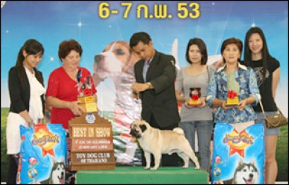 The Mall Toy Dog Championship Show 2010