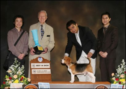 Central Pet Fair & Dog Show Championship 6-7 Mar 2010