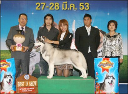 The Mall Toy Dog Championship Show 27-28 Mar. 2010