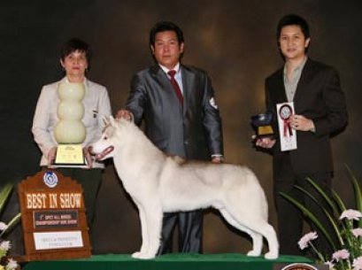 CENTRAL PLAZA INTERNATIONAL DOG SHOW 2010