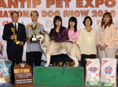 PANTIP PET EXPO & NATIONAL DOG SHOW 2010
