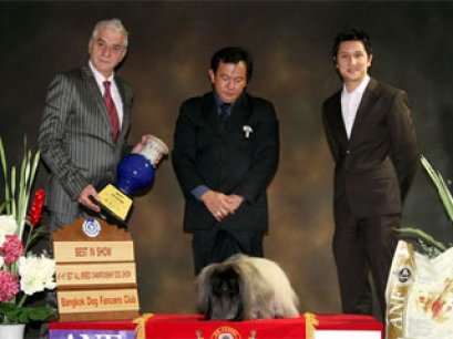 Central Plaza Pet Fair & Dog Show Championship