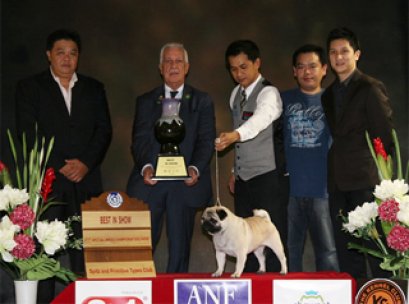 Central Plaza Pet Fair & Dog Show Championship