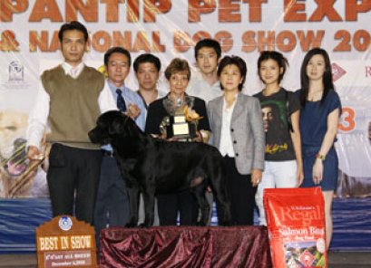 American Stafford Championship Dog Show 2010