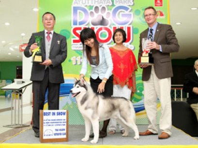 Ayutthaya Park Dog show 2011