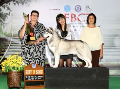 FBCT Championship Show 2/2011