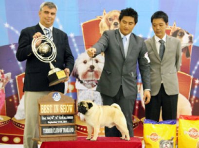 Terrier Club and Pet Perfect Dog Show 2011
