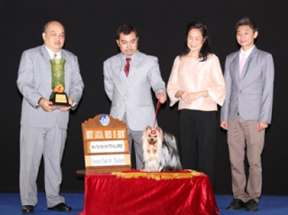 Terrier Club Of Thailand Championship Dog Show(AB1)
