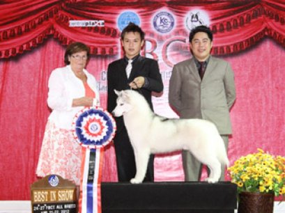 FBCT Championship Show 1/2012(AB3)