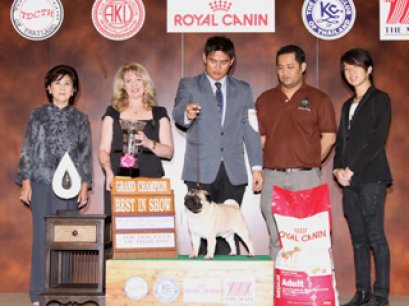 The Mall Toy Dog Championship Show 2/2012(AB1)