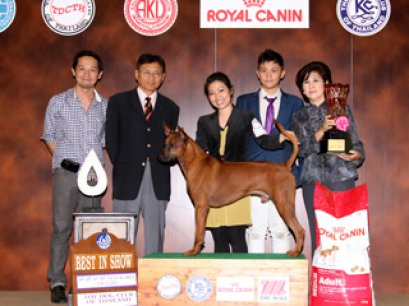 The Mall Toy Dog Championship Show 2/2012(AB2)