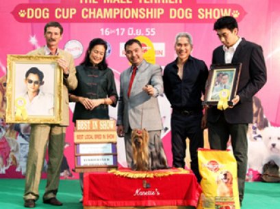 Terrier Club and Pet perfect Dog show 2012(AB2)