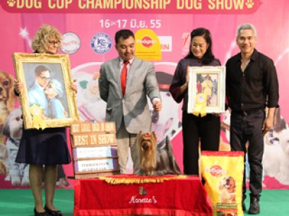 Terrier Club and Pet perfect Dog show 2012(AB3)