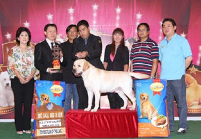 TH.CH.NAGAS'S JACKPOT