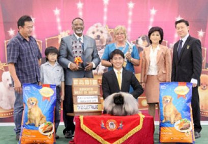 TH.CH.SW.'S ROCK THIS TOWN