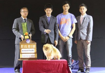 TH.CH.NEO'S SUPER HERO