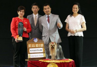 TH.GRAND.MAL.CH.NANETTE'S OCTOBER SAND DUNE