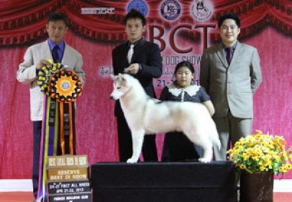 TH.CH.KUWISETSANG'S JACOB