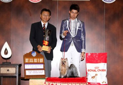 TH.CH.EXPANA'S LOVE ANGEL