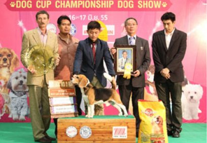 GRAND.INT.TH.CH.CAESAR'S SUPER DANCE