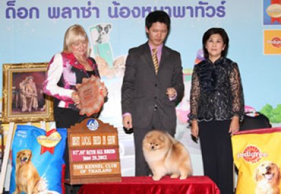 TH.CH.NEO'S SUPER HERO