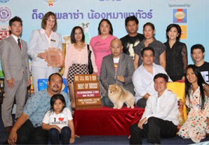 TH.CH.INONE POM'S CALL SANDEE TO POMPALACE