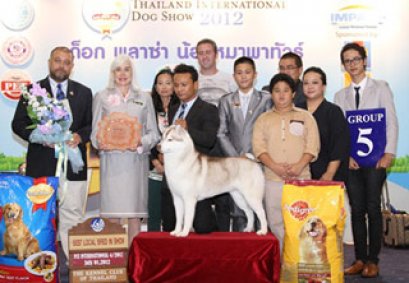 TH.CH.SUB ZERO N DREAM CHASER'S CUNNING LITTLE FOX