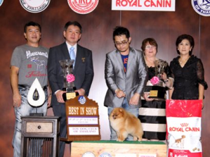 TH.AM.CH.FINCH'S LOOKIN AT A LUCKY DREAM