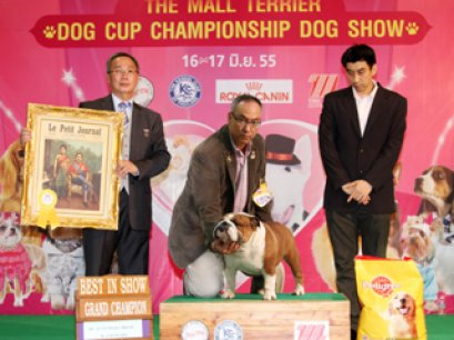 TH.GRAND.CH.AM.GRAND.CH.BULLY HILLS JAMES DEAN