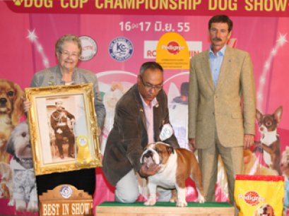 TH.GRAND.CH.AM.GRAND.CH.BULLY HILLS JAMES DEAN