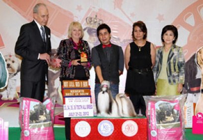 TH.CH.CENTURY'S MY GOLDEN DREAM