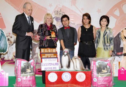 TH.CH.CENTURY'S MY GOLDEN DREAM