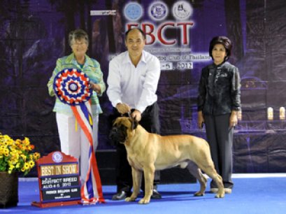 FBCT Championship Show 2/2012(AB4)