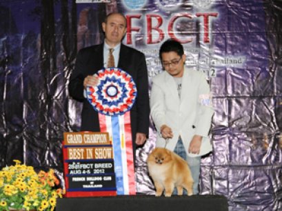 TH.GRAND.CH.AM.CH.FINCH'S LOOKIN AT A LUCKY DREAM