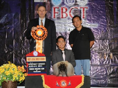 TH.CH.SW.'S MR.BIG SHOT