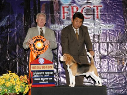 TH.AM.CH.PERFECT COMPANION'S HAPPY HOURS