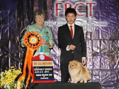 TH.CH.NEO'S SUPER HERO