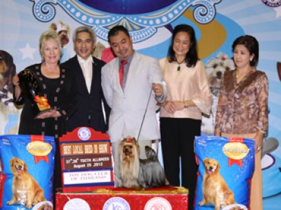 TH.GRAND.MAL.IND.CH.NANETTE'S OCTOBER SAND DUNE