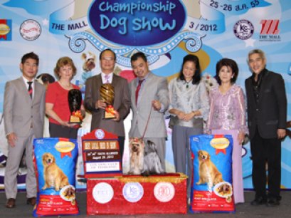 TH.GRAND.MAL.IND.CH.NANETTE'S OCTOBER SAND DUNE