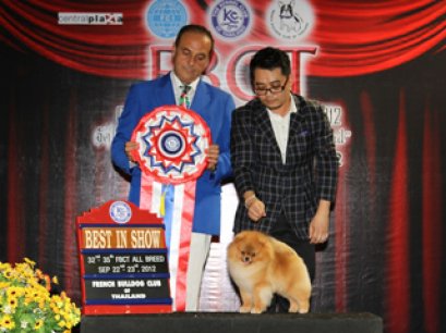 FBCT Championship Show 3/2012(AB1)