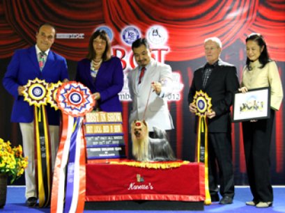 FBCT Championship Show 3/2012(AB2)