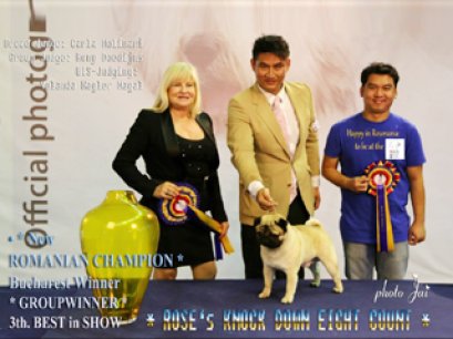 On this trip to Euro Dog Show 2012