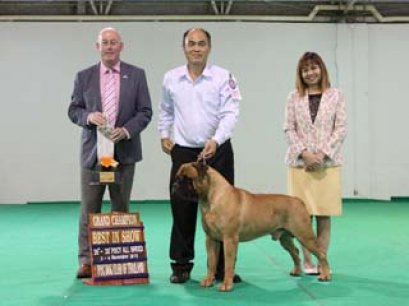 PANTIP PET EXPO & NATIONAL DOG SHOW 2012(AB4)