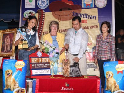 The Little Cowboy Grand Dog Show 2012(AB1)
