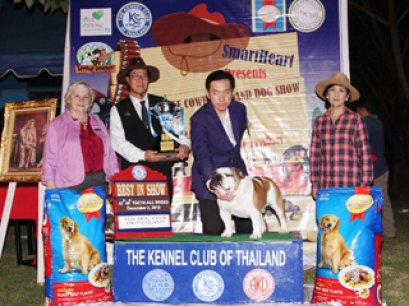 The Little Cowboy Grand Dog Show 2012(AB3)