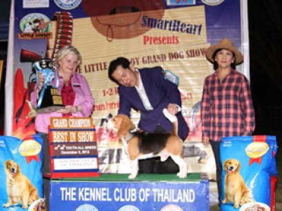 The Little Cowboy Grand Dog Show 2012(AB4)